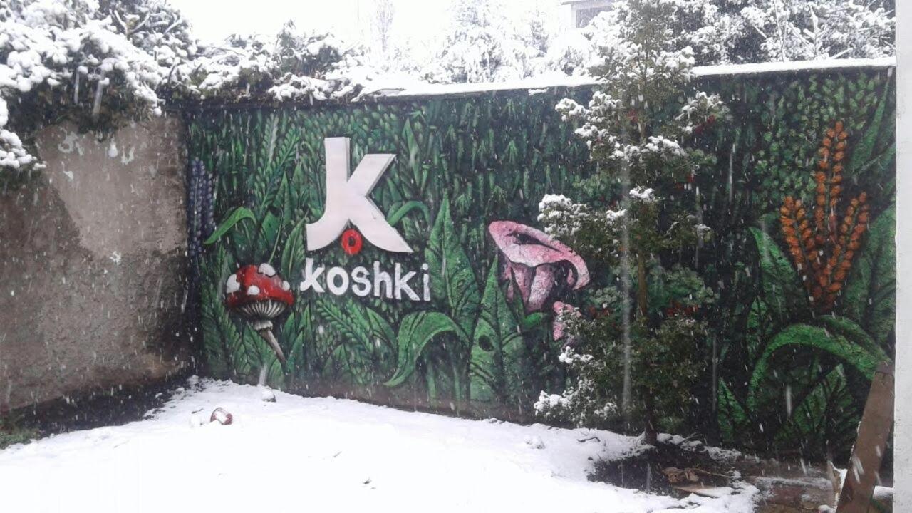 הוסטל סן קרלוס דה ברילוצ'ה Kosh מראה חיצוני תמונה